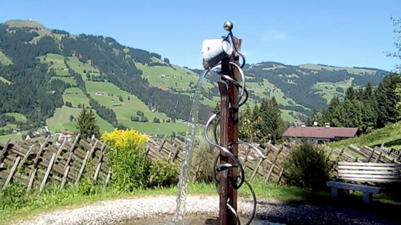 bild(77)